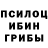 Псилоцибиновые грибы мухоморы Hope Messiah